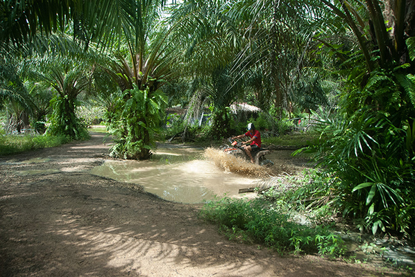 ATV through Krabi countryside